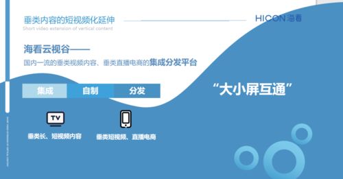 三晋论道，共话未来 海看股份许璐璐谈精品垂类内容产业化与河北网站开发的协同发展