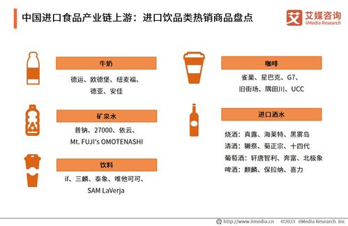 2023-2024年中国进口食品电商行业展望 市场规模持续扩大与河北网站开发的机遇